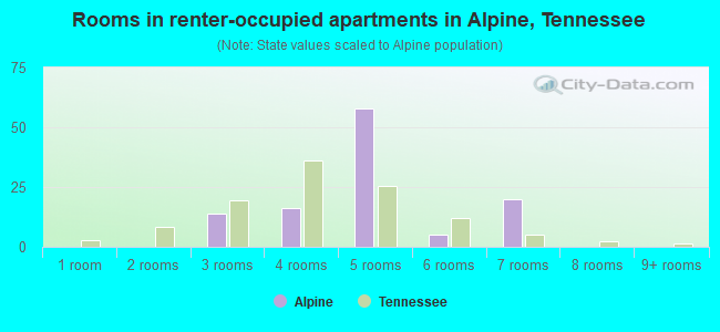 Rooms in renter-occupied apartments in Alpine, Tennessee