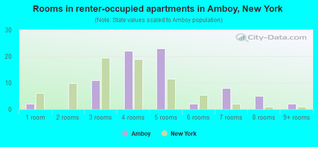 Rooms in renter-occupied apartments in Amboy, New York