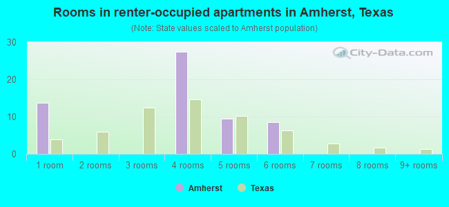 Rooms in renter-occupied apartments in Amherst, Texas