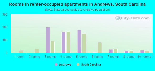 Rooms in renter-occupied apartments in Andrews, South Carolina