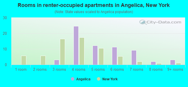 Rooms in renter-occupied apartments in Angelica, New York