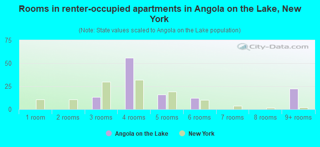 Rooms in renter-occupied apartments in Angola on the Lake, New York