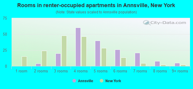 Rooms in renter-occupied apartments in Annsville, New York