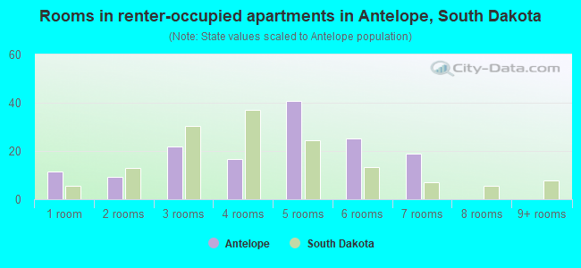 Rooms in renter-occupied apartments in Antelope, South Dakota