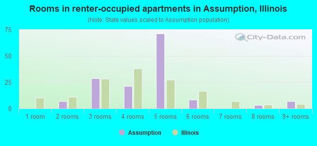 Rooms in renter-occupied apartments in Assumption, Illinois