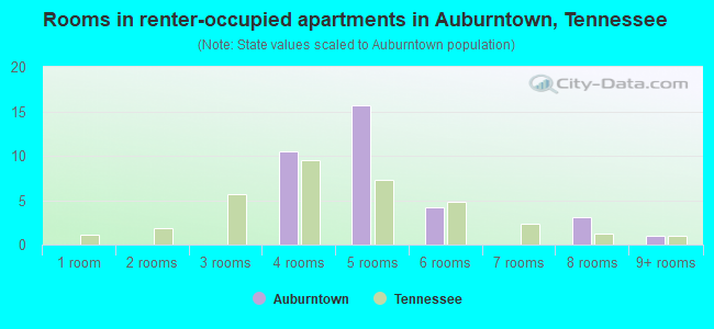 Rooms in renter-occupied apartments in Auburntown, Tennessee