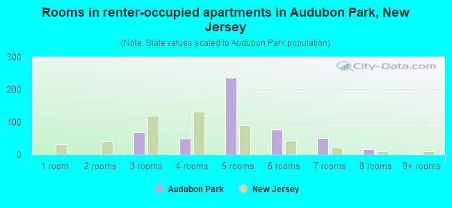 Rooms in renter-occupied apartments in Audubon Park, New Jersey