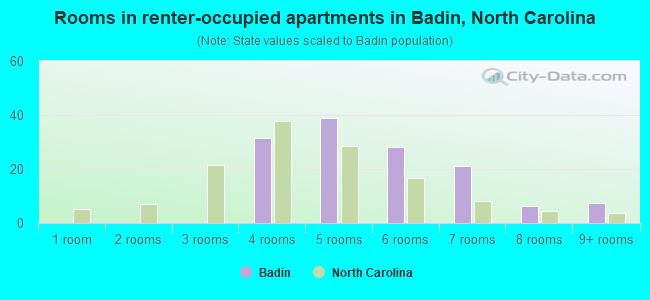 Rooms in renter-occupied apartments in Badin, North Carolina