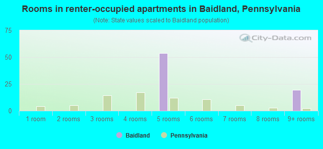 Rooms in renter-occupied apartments in Baidland, Pennsylvania