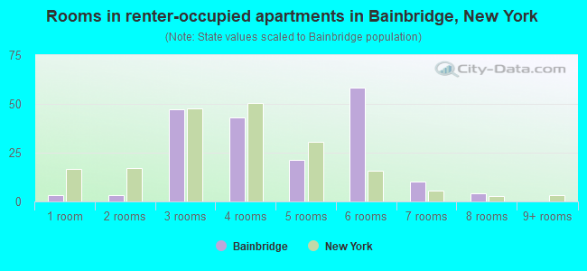 Rooms in renter-occupied apartments in Bainbridge, New York