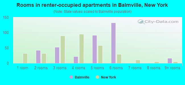 Rooms in renter-occupied apartments in Balmville, New York