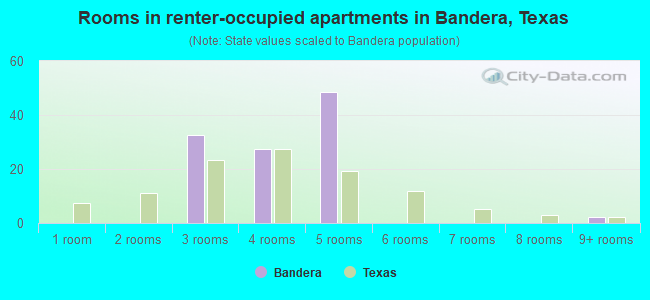 Rooms in renter-occupied apartments in Bandera, Texas