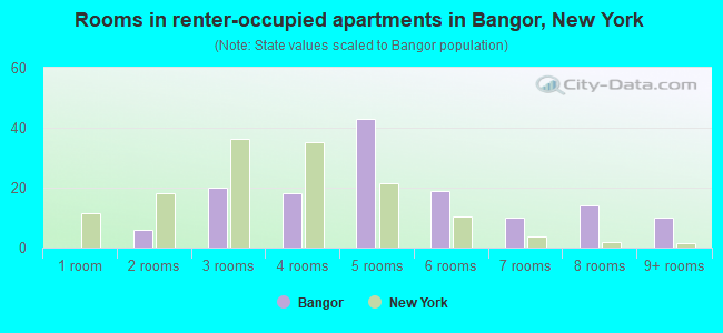Rooms in renter-occupied apartments in Bangor, New York