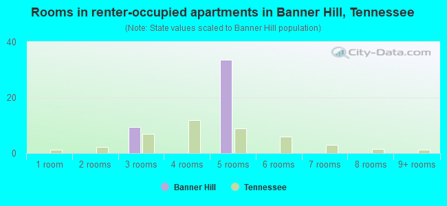 Rooms in renter-occupied apartments in Banner Hill, Tennessee