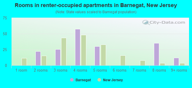 Rooms in renter-occupied apartments in Barnegat, New Jersey