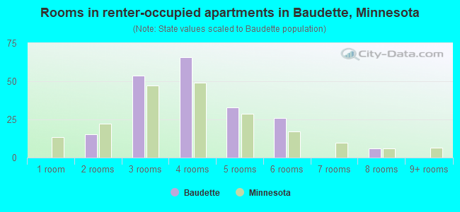 Rooms in renter-occupied apartments in Baudette, Minnesota