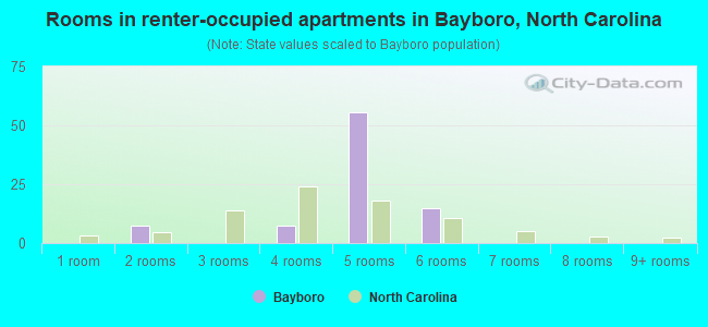 Rooms in renter-occupied apartments in Bayboro, North Carolina