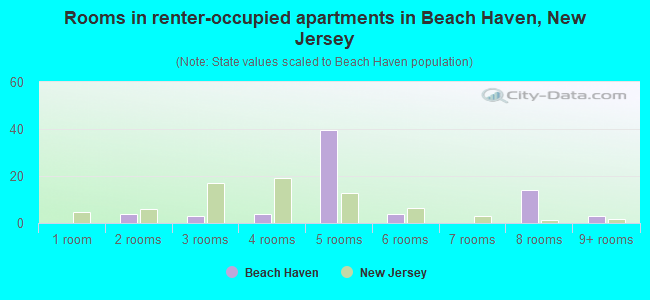 Rooms in renter-occupied apartments in Beach Haven, New Jersey