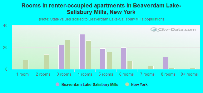 Rooms in renter-occupied apartments in Beaverdam Lake-Salisbury Mills, New York