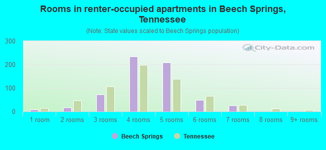 Rooms in renter-occupied apartments in Beech Springs, Tennessee