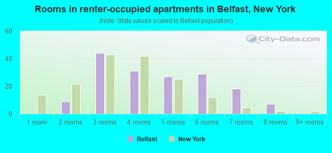 Rooms in renter-occupied apartments in Belfast, New York