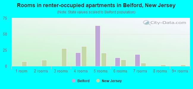 Rooms in renter-occupied apartments in Belford, New Jersey