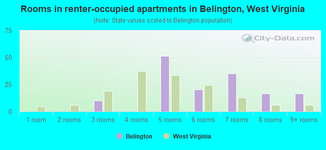 Rooms in renter-occupied apartments in Belington, West Virginia
