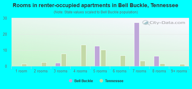 Rooms in renter-occupied apartments in Bell Buckle, Tennessee