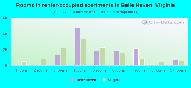 Rooms in renter-occupied apartments in Belle Haven, Virginia