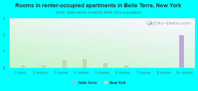 Rooms in renter-occupied apartments in Belle Terre, New York