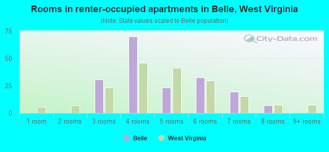 Rooms in renter-occupied apartments in Belle, West Virginia