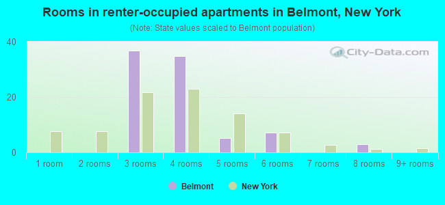 Rooms in renter-occupied apartments in Belmont, New York