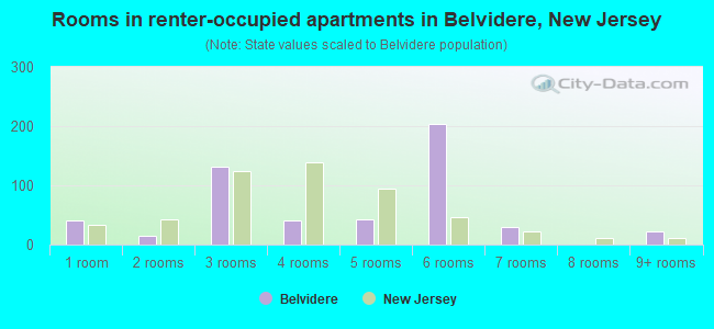 Rooms in renter-occupied apartments in Belvidere, New Jersey