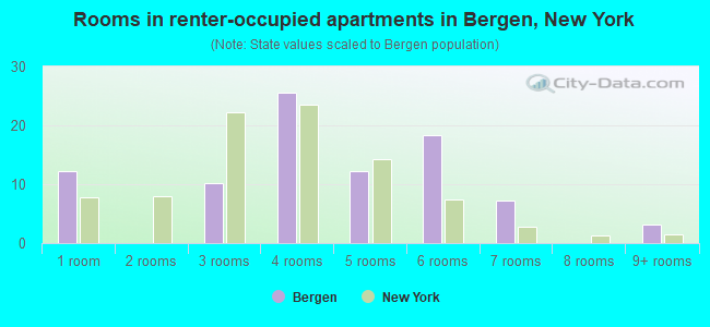 Rooms in renter-occupied apartments in Bergen, New York