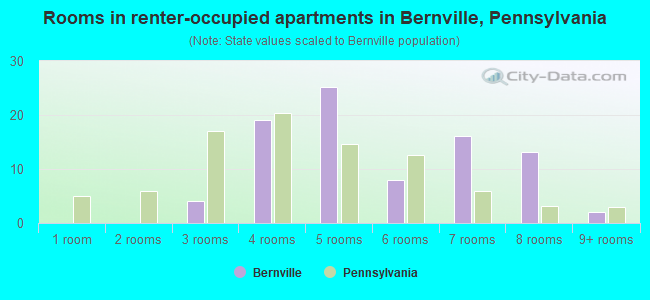 Rooms in renter-occupied apartments in Bernville, Pennsylvania
