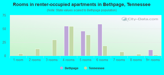 Rooms in renter-occupied apartments in Bethpage, Tennessee