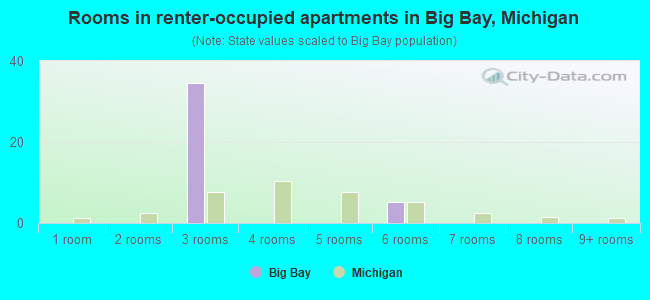 Rooms in renter-occupied apartments in Big Bay, Michigan