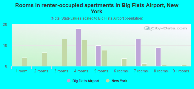 Rooms in renter-occupied apartments in Big Flats Airport, New York