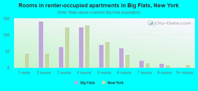 Rooms in renter-occupied apartments in Big Flats, New York
