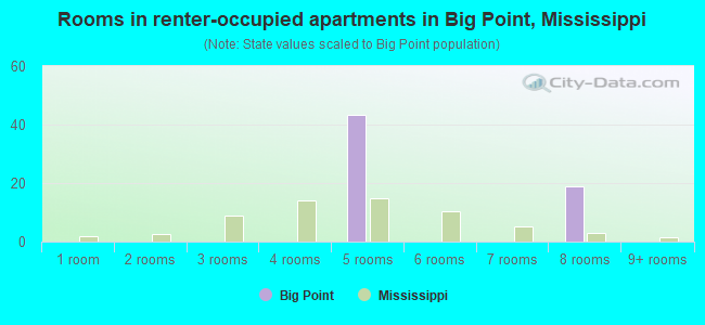 Rooms in renter-occupied apartments in Big Point, Mississippi