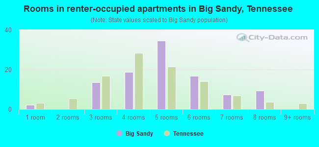 Rooms in renter-occupied apartments in Big Sandy, Tennessee