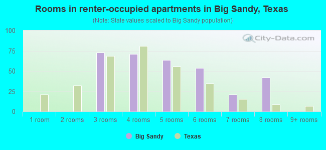 Rooms in renter-occupied apartments in Big Sandy, Texas