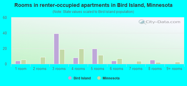 Rooms in renter-occupied apartments in Bird Island, Minnesota