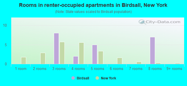 Rooms in renter-occupied apartments in Birdsall, New York