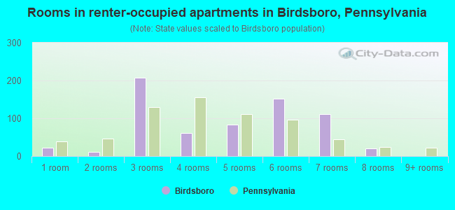 Rooms in renter-occupied apartments in Birdsboro, Pennsylvania