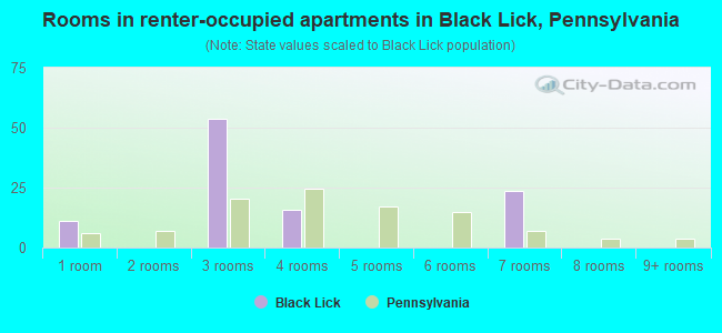 Rooms in renter-occupied apartments in Black Lick, Pennsylvania
