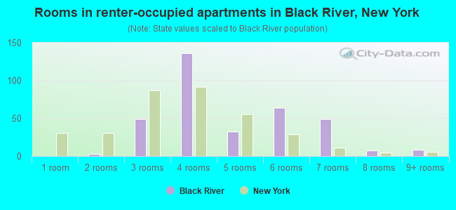 Rooms in renter-occupied apartments in Black River, New York