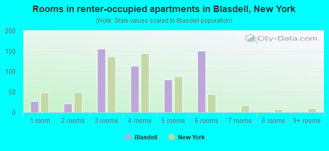 Rooms in renter-occupied apartments in Blasdell, New York