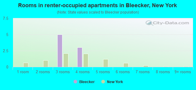 Rooms in renter-occupied apartments in Bleecker, New York