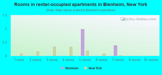 Rooms in renter-occupied apartments in Blenheim, New York